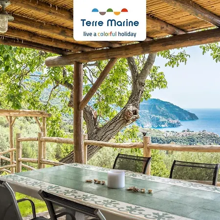 Sound Of Silence, Terre Marine